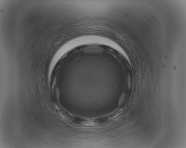 X0000085310219200703091454