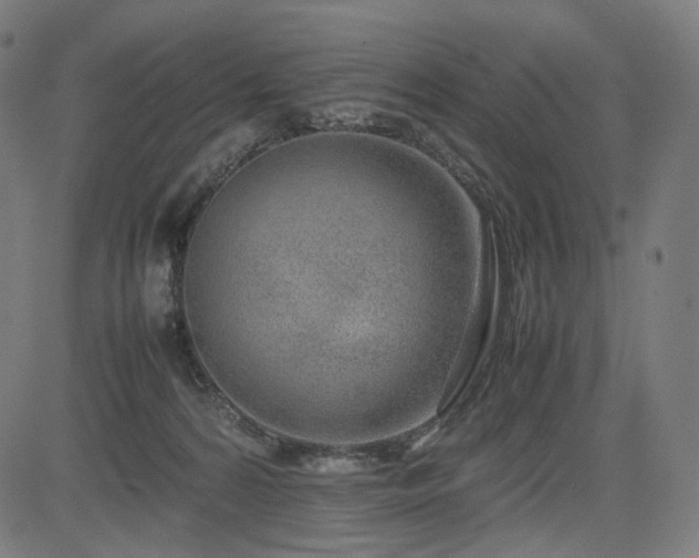 X0000085310224200703091454