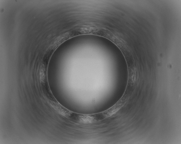 X0000085310226200703091454