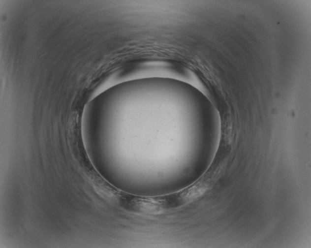 X0000085310229200703091454