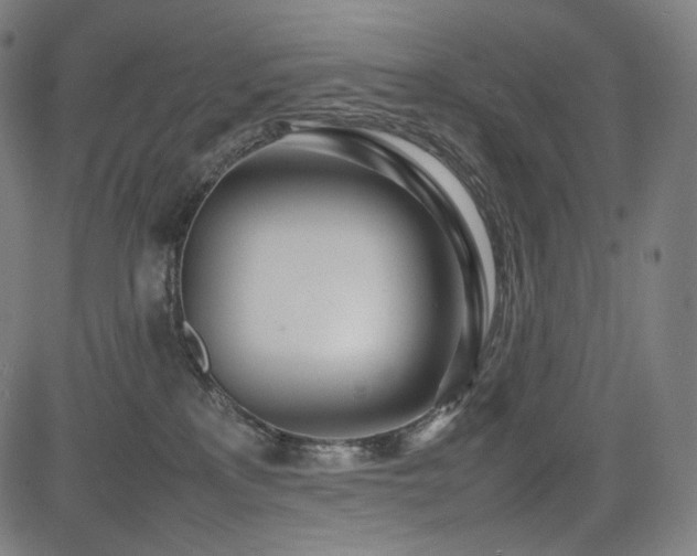 X0000085310233200703091454