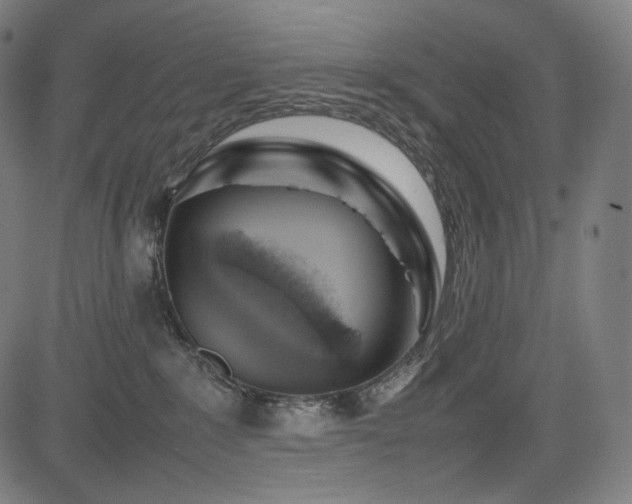 X0000085310235200703091454