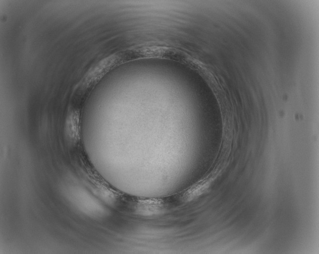 X0000085310240200703091454