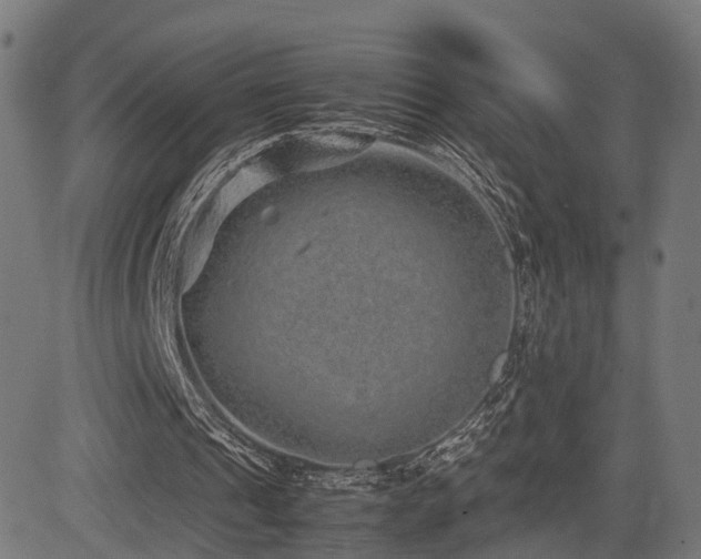X0000085310241200703091453