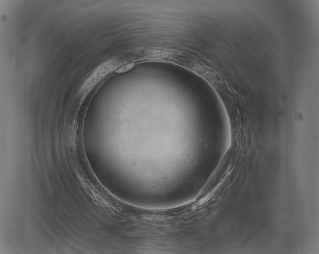 X0000085310242200703091453
