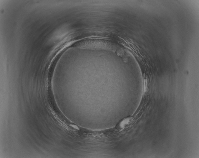 X0000085310243200703091453