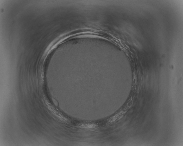 X0000085310247200703091453