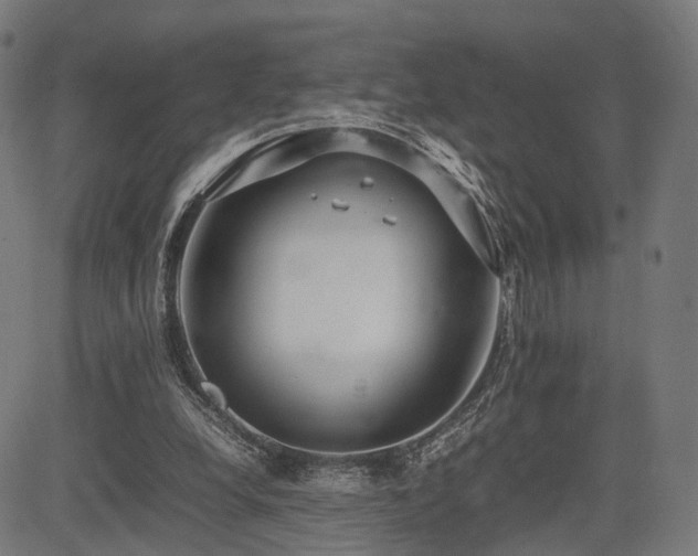 X0000085310248200703091453