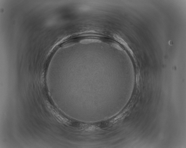 X0000085310249200703091453