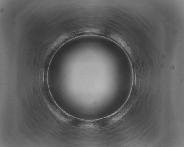 X0000085310253200703091453