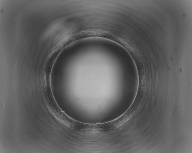 X0000085310254200703091453