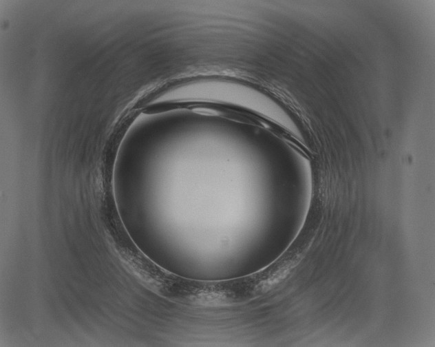 X0000085310256200703091453