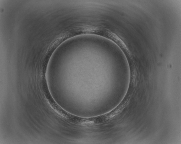 X0000085310257200703091453