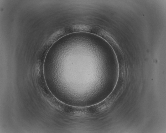 X0000085310259200703091453