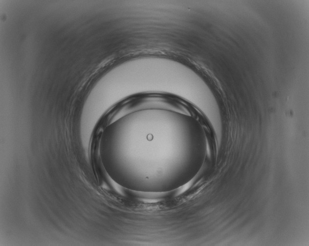 X0000085310260200703091453