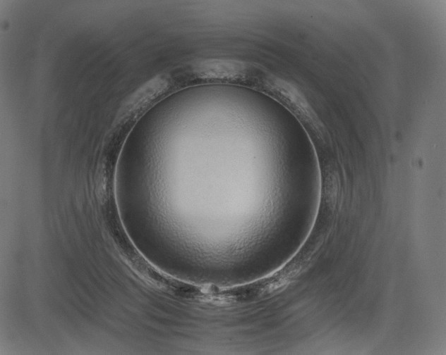 X0000085310261200703091453
