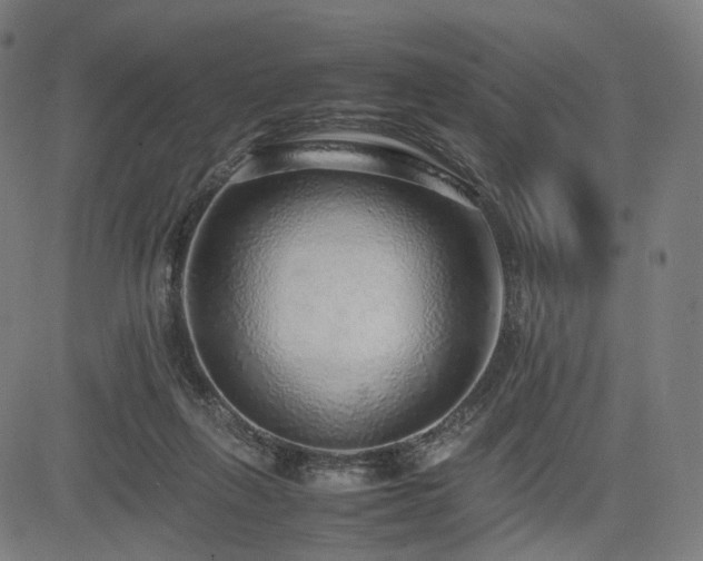 X0000085310263200703091453