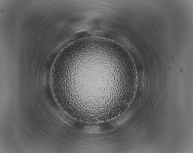 X0000085310266200703091453