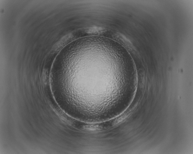 X0000085310273200703091453