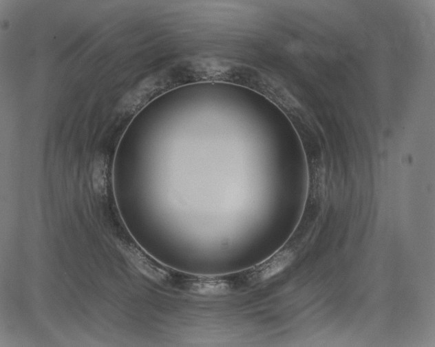 X0000085310274200703091453