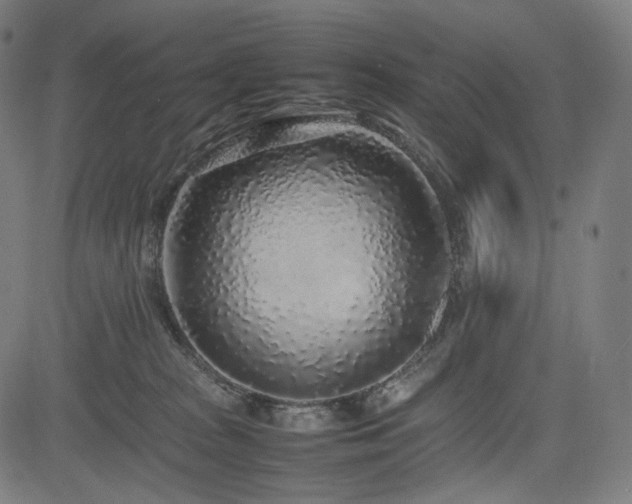 X0000085310277200703091453