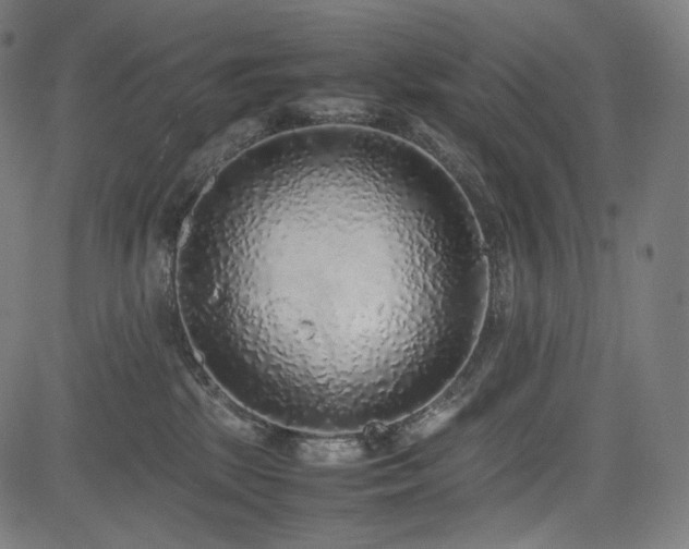 X0000085310281200703091453