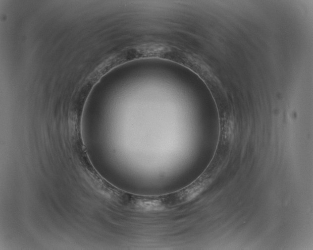 X0000085310283200703091453
