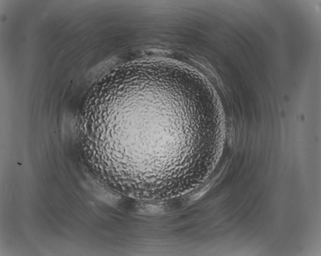 X0000085310285200703091453
