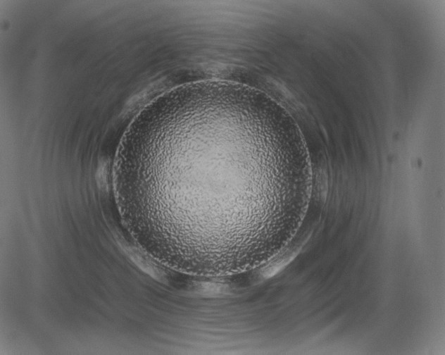 X0000085310286200703091453