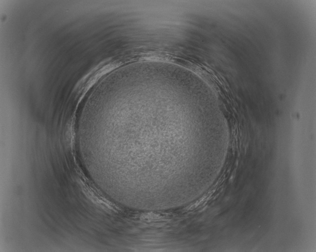 X0000085310290200703091453