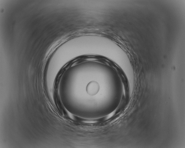 X0000085310293200703091453