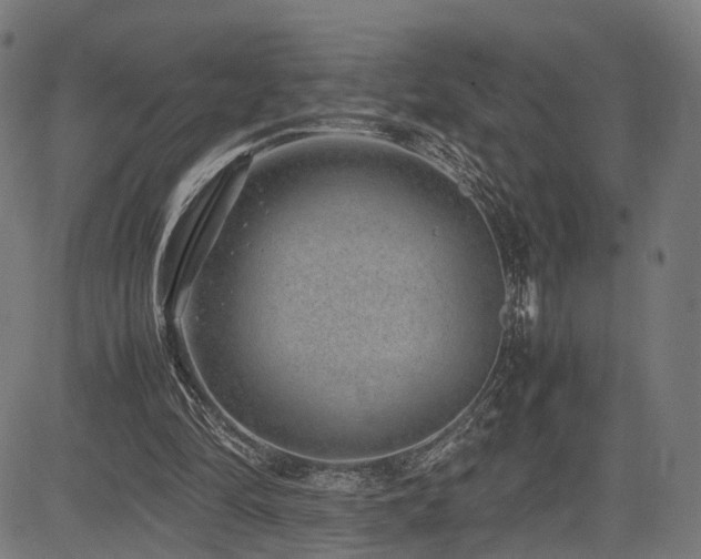 X0000085310294200703091453