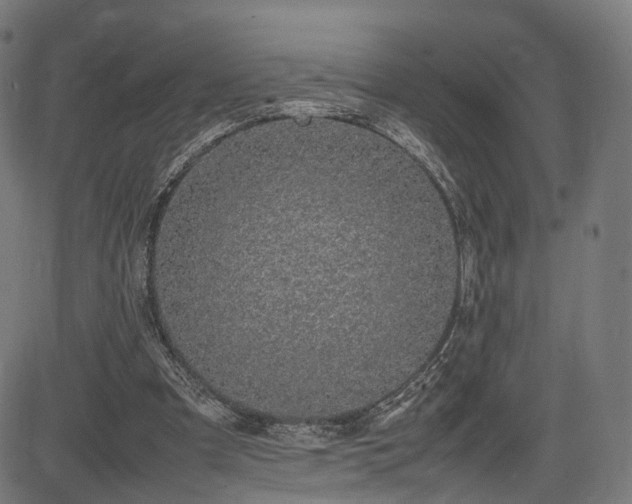 X0000085310297200703091453