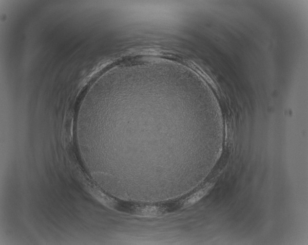 X0000085310301200703091453