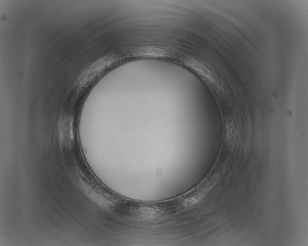 X0000085310302200703091453