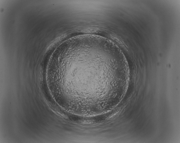 X0000085310303200703091452