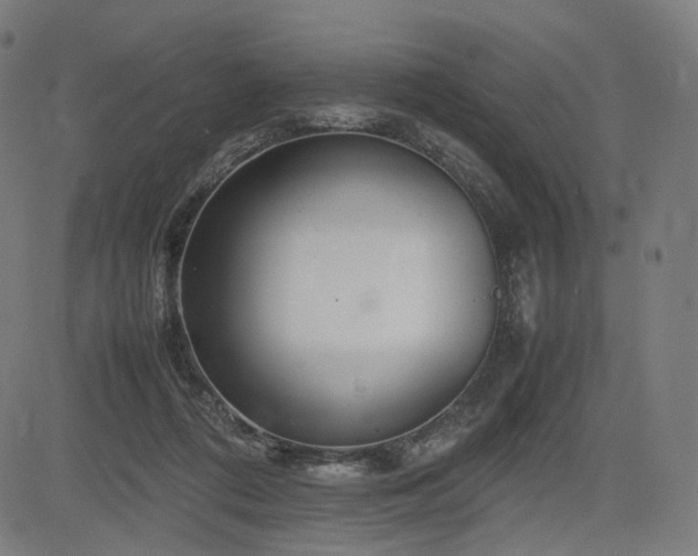 X0000085310312200703091452