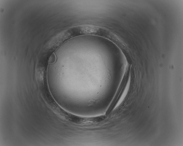 X0000085310315200703091452