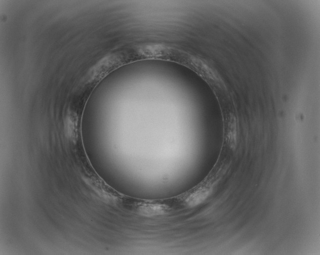 X0000085310332200703091452