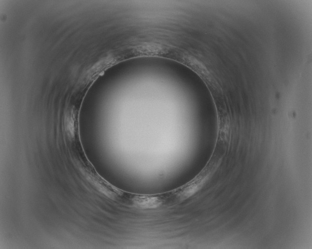 X0000085310334200703091452