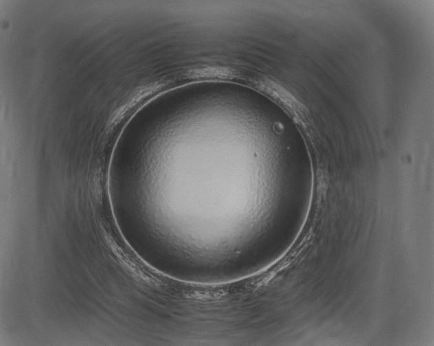 X0000085310345200703091451
