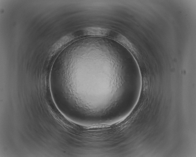 X0000085310349200703091451