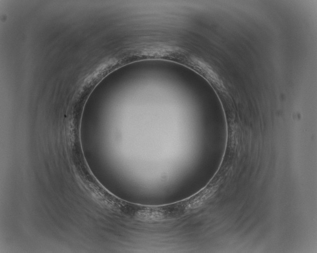 X0000085310354200703091451