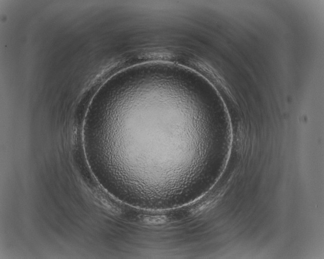 X0000085310355200703091451