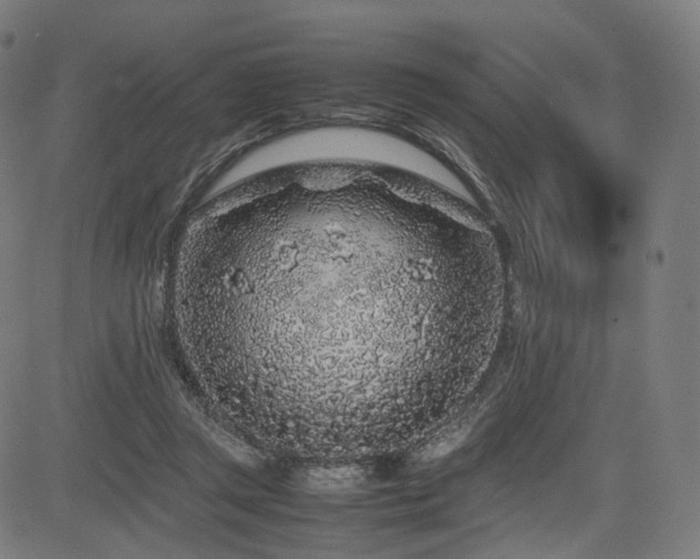 X0000085310357200703091451