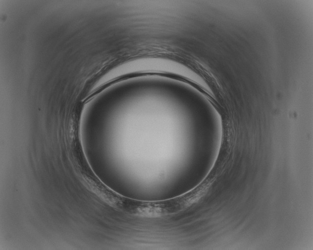 X0000085310362200703091452