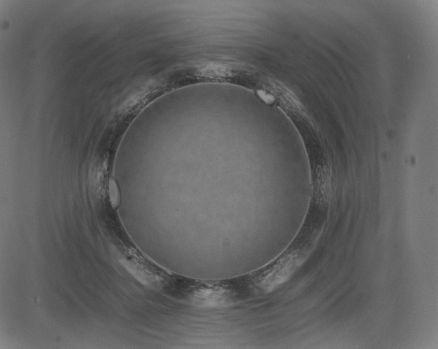X0000085310364200703091452