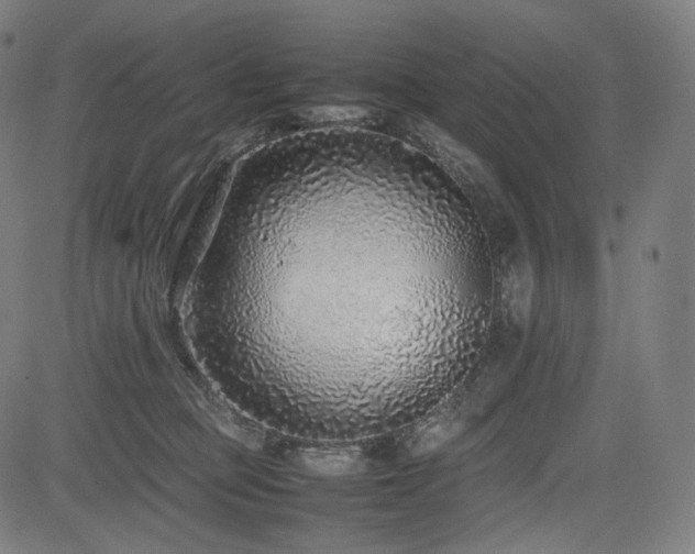 X0000085310373200703091452