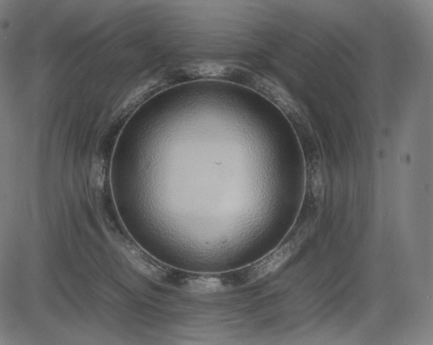 X0000085310374200703091452