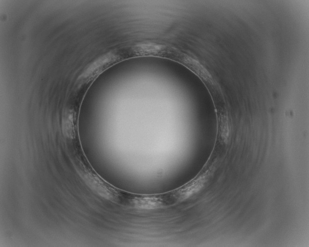 X0000085310378200703091452
